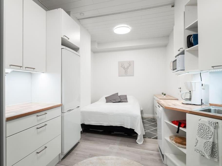 Cozy Roomy Studio Flat Next To Tram Stop @ Kallio Helsinki Exterior photo